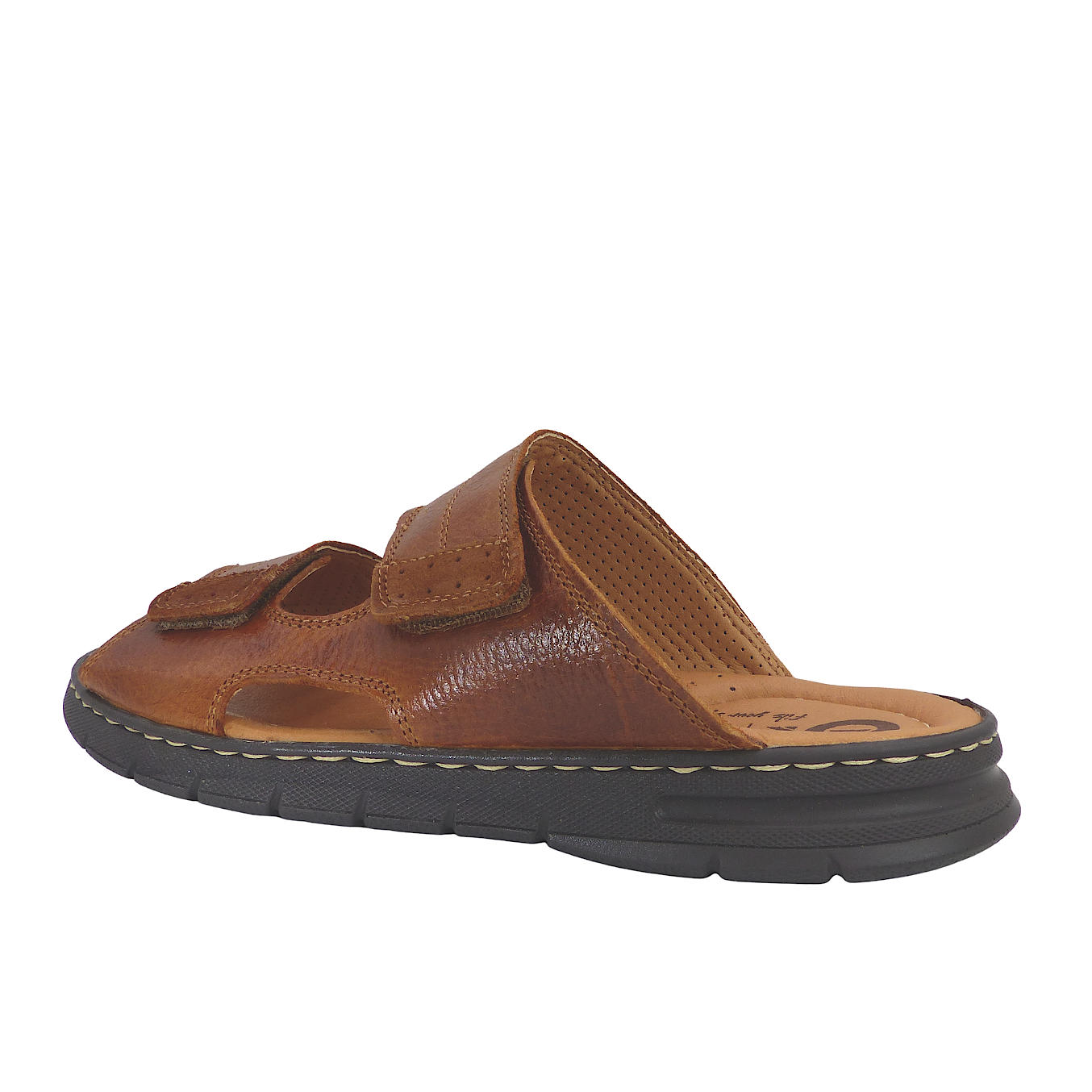 24001Camel8