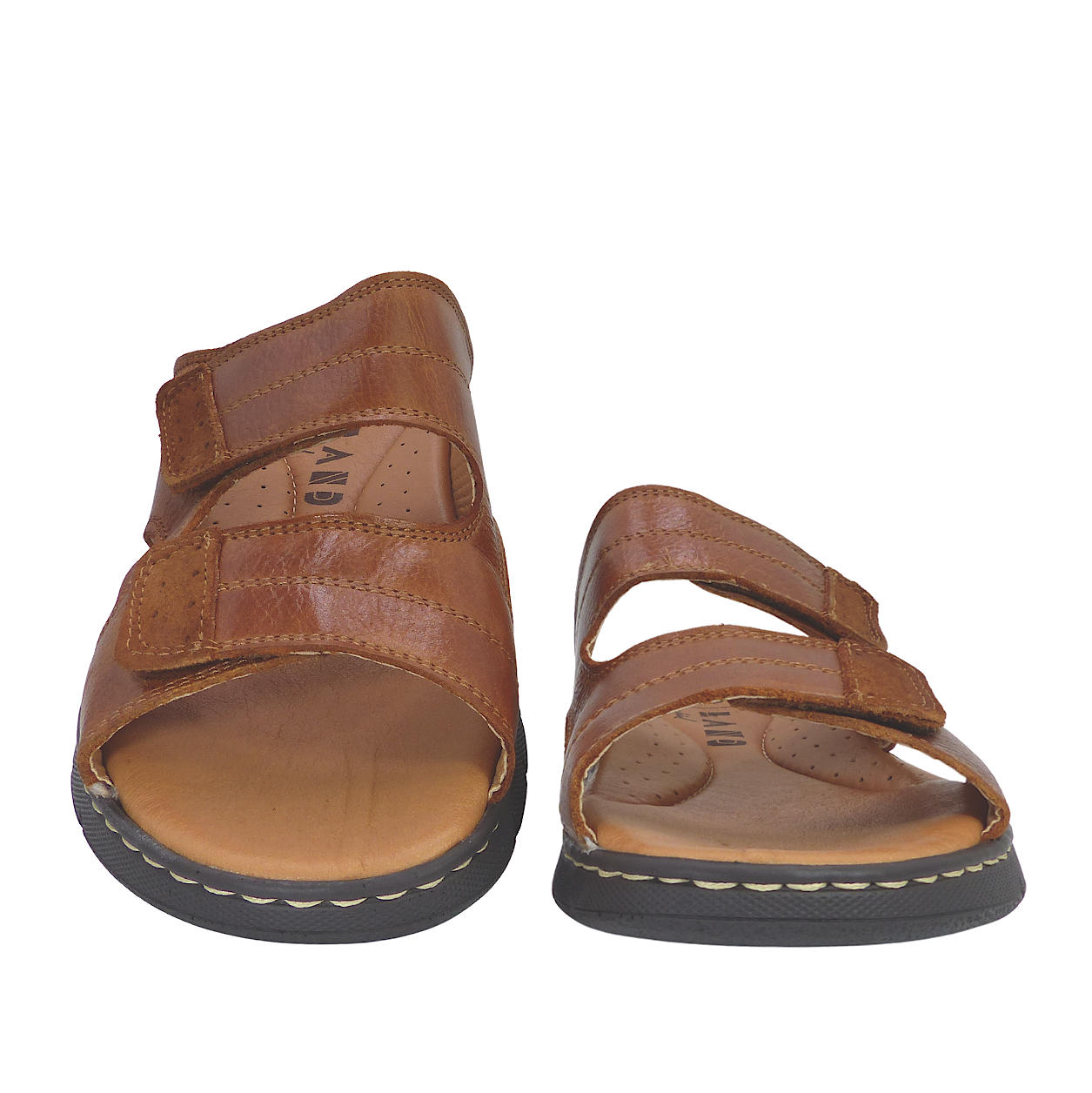 24001Camel2