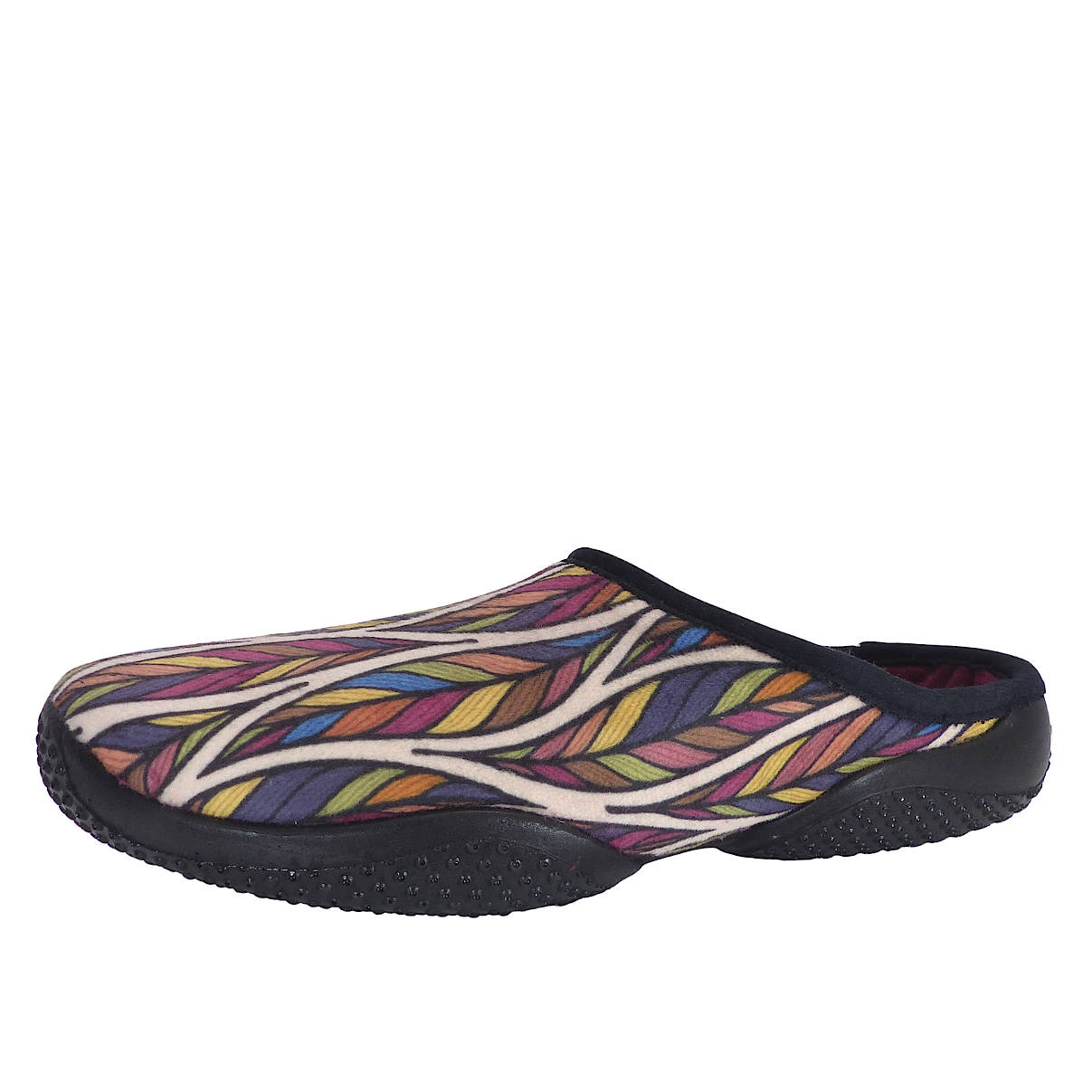 BrancheMulticolore4