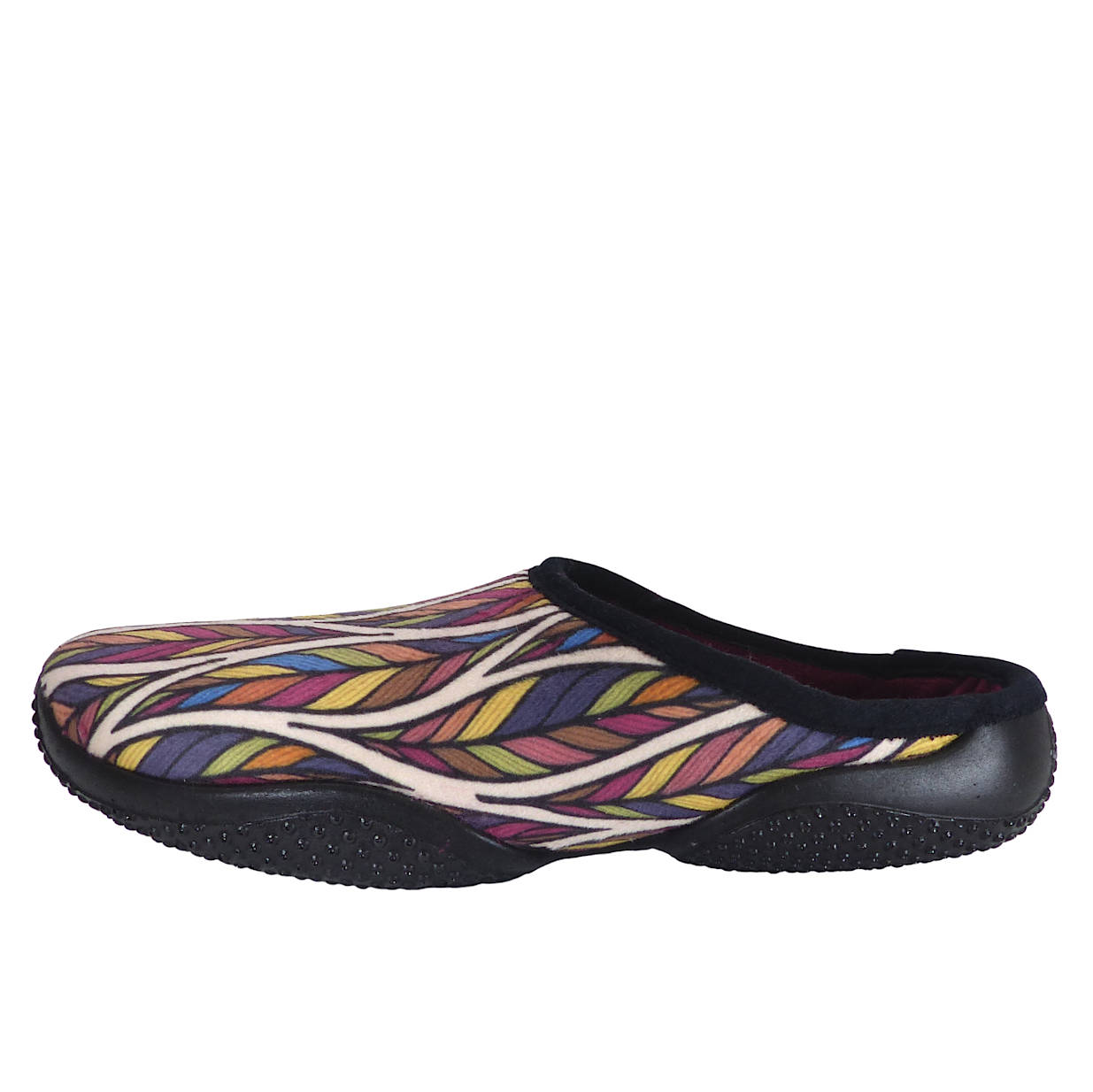BrancheMulticolore2