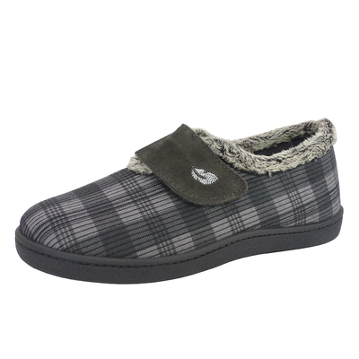 12278Gris4