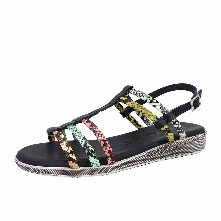 nu pied noir