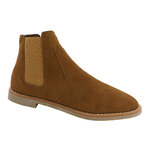 GastonCamel3