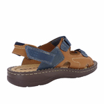 7064Camel7