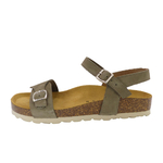 2136Olive3