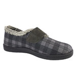 12278Gris5