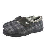 12278Gris1