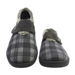 12278Gris2