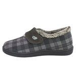 12278Gris3