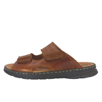 24001Camel3