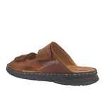 24001Camel8