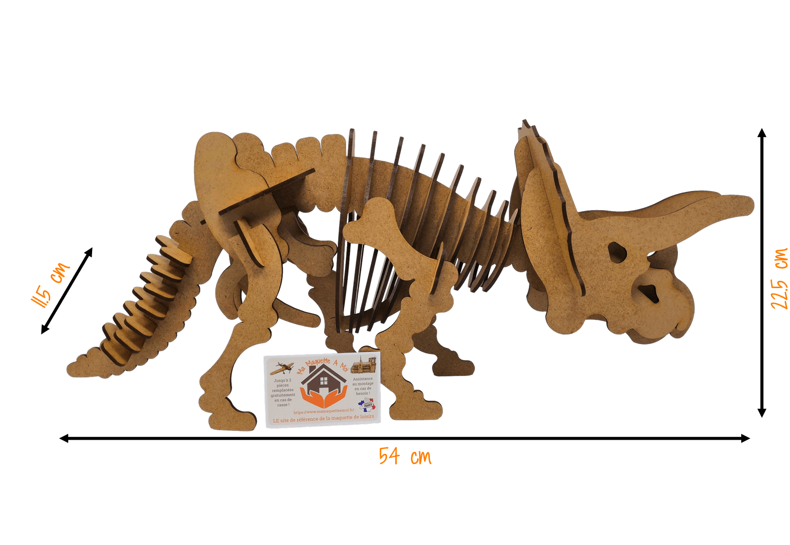 dimensions TRICERATOPS Réduit