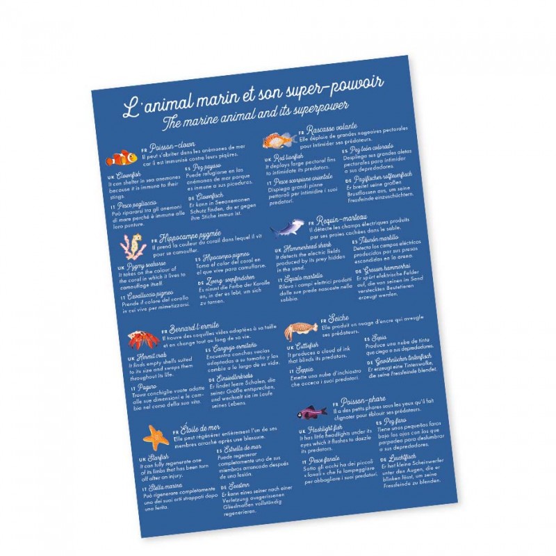 jeu-de-memory-animal-marin-et-son-super-pouvoir (1)