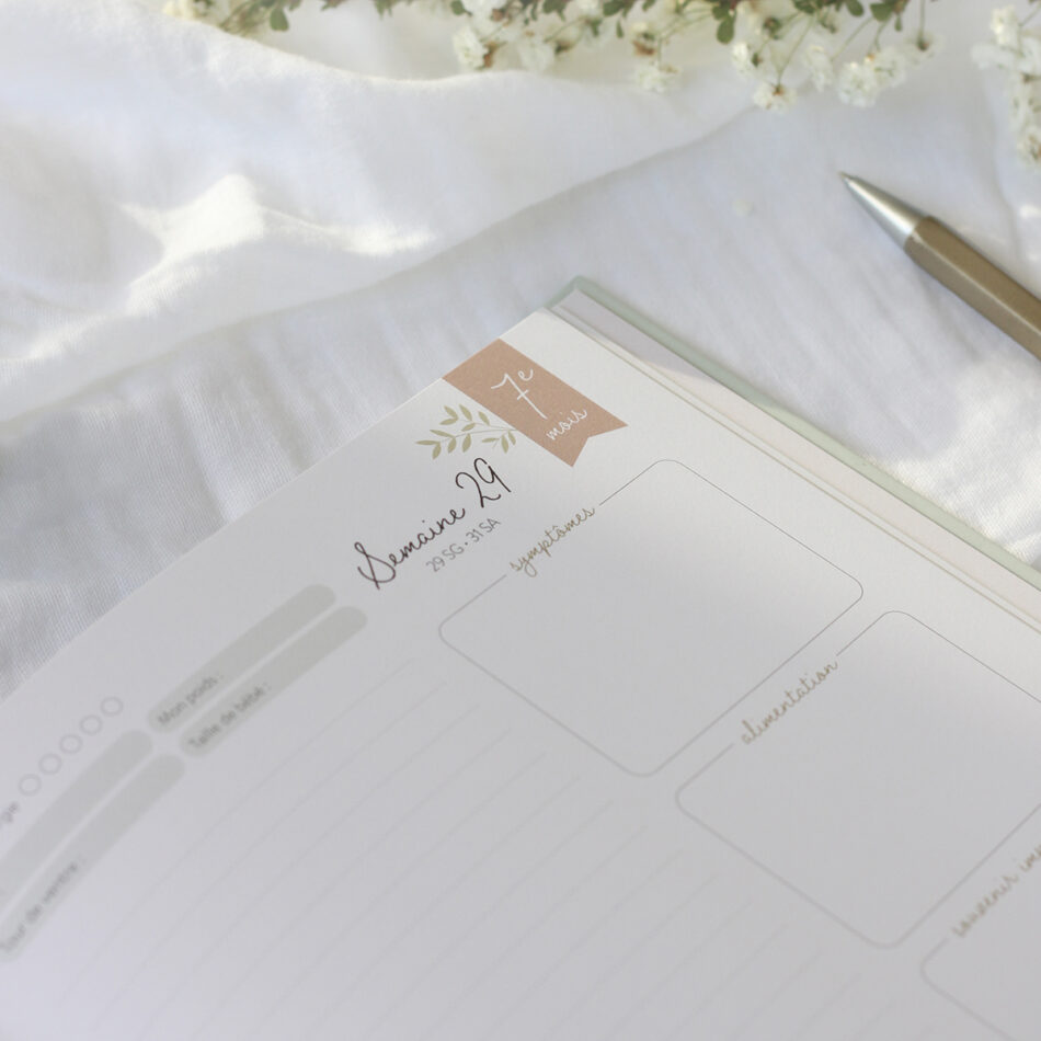 JOURNAL-GROSESSE-ZU-insitu9-950x950