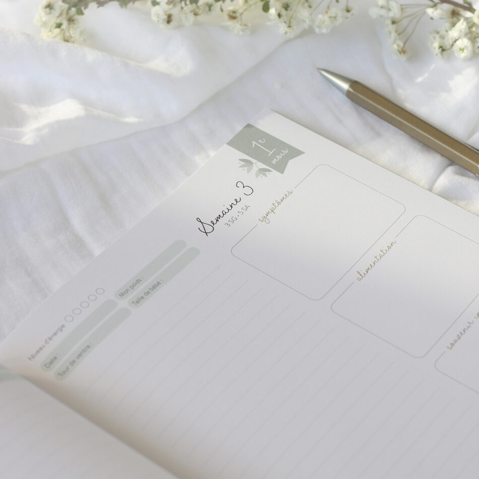 JOURNAL-GROSESSE-ZU-insitu8-950x950