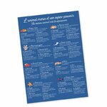 jeu-de-memory-animal-marin-et-son-super-pouvoir (1)