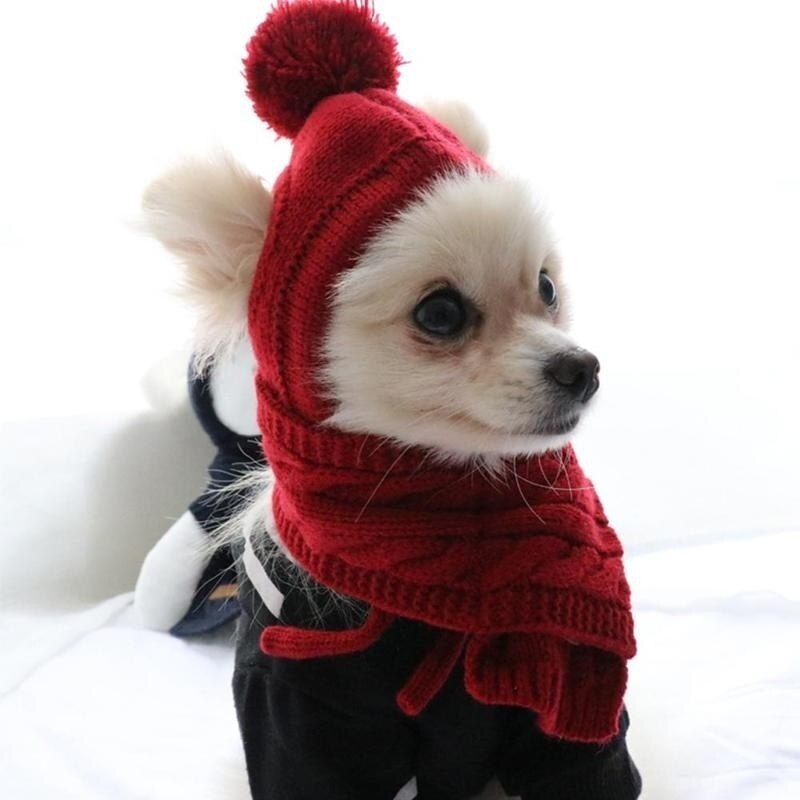 Chapeau-pour-chiens-rayures-chaudes-d-hiver-chapeau-tricot-collier-charpe-Costume-de-chiot-Teddy-v