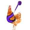 Gilet-la-mode-pour-poulet-et-canard-ceinture-pour-poule-harnais-pour-animaux-de-compagnie-colliers