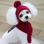 Chapeau-pour-chiens-rayures-chaudes-d-hiver-chapeau-tricot-collier-charpe-Costume-de-chiot-Teddy-v