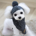Chapeau-pour-chiens-rayures-chaudes-d-hiver-chapeau-tricot-collier-charpe-Costume-de-chiot-Teddy-v