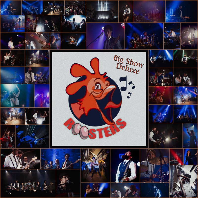 CD Roosters recto web