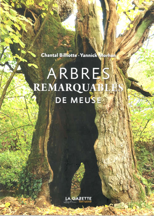 arbres remarquables meuse web