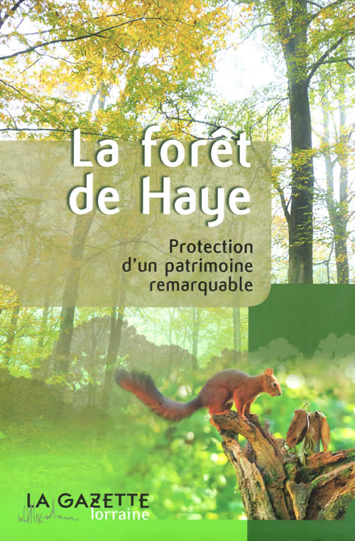 La forêt de Haye