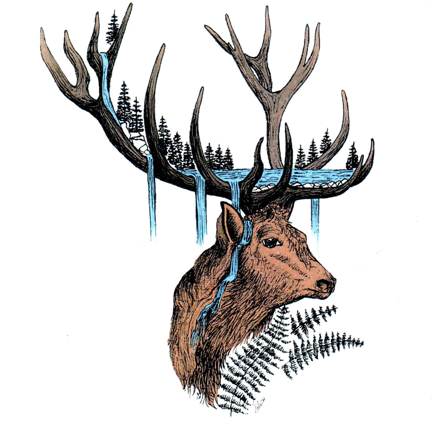 Cerf au lac