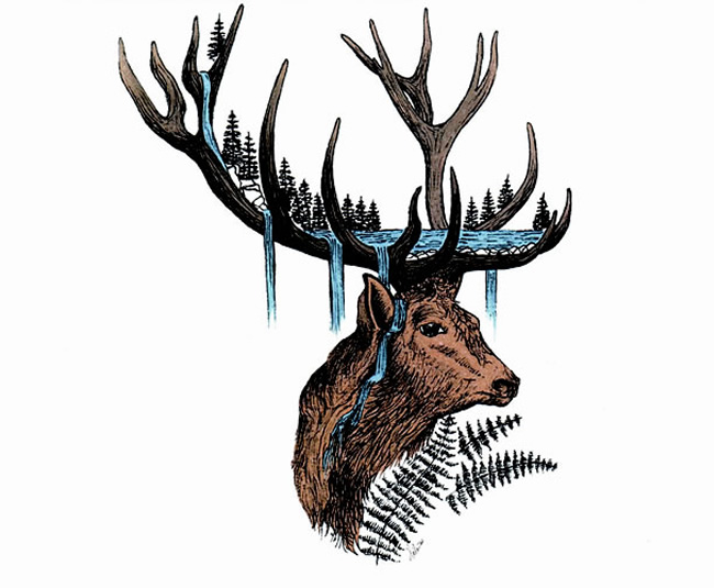 cerf au lac web02