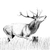 Cerf qui brame web