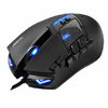 souris