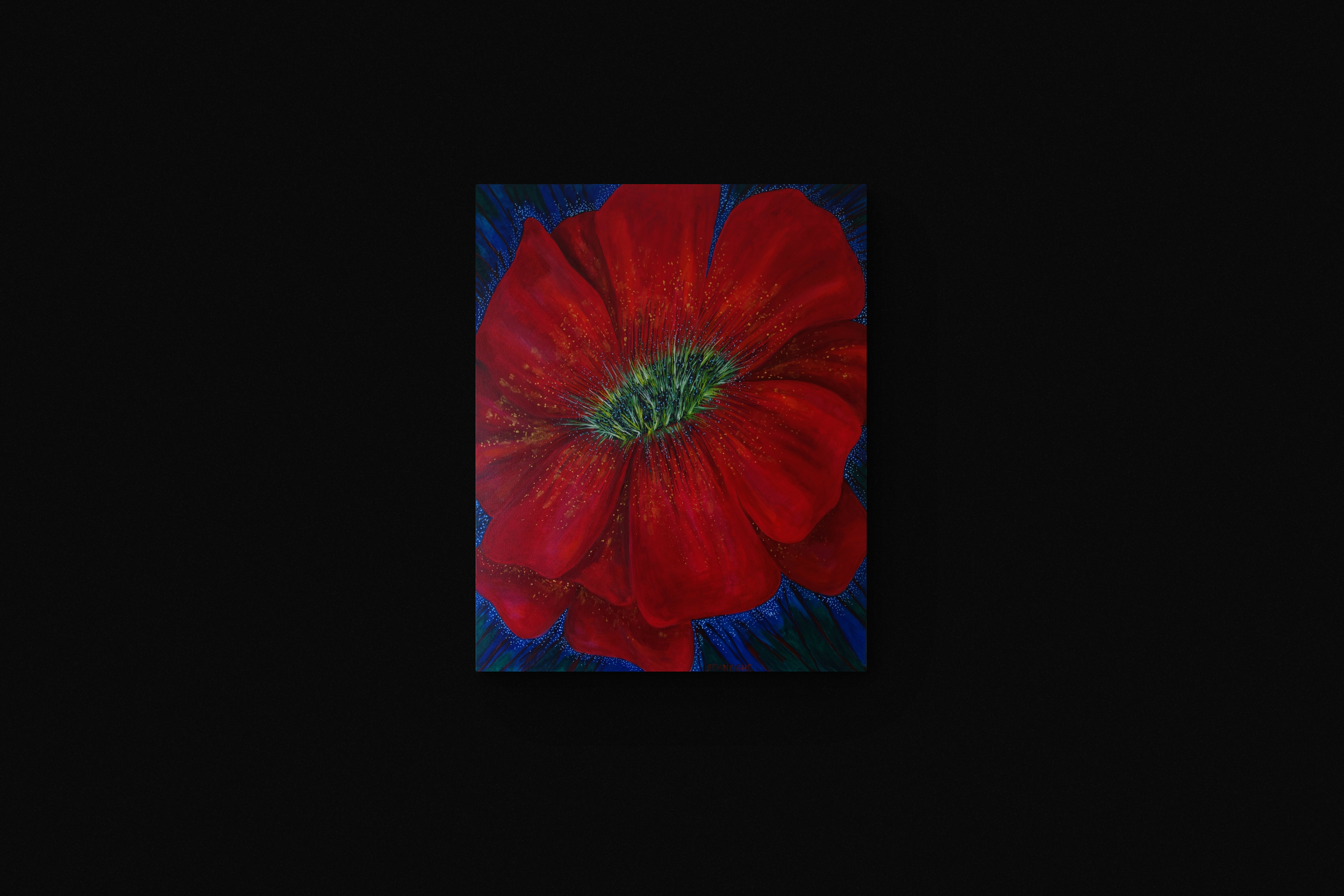 Tableau Pétillement, fleur rouge, sur un fond noir.