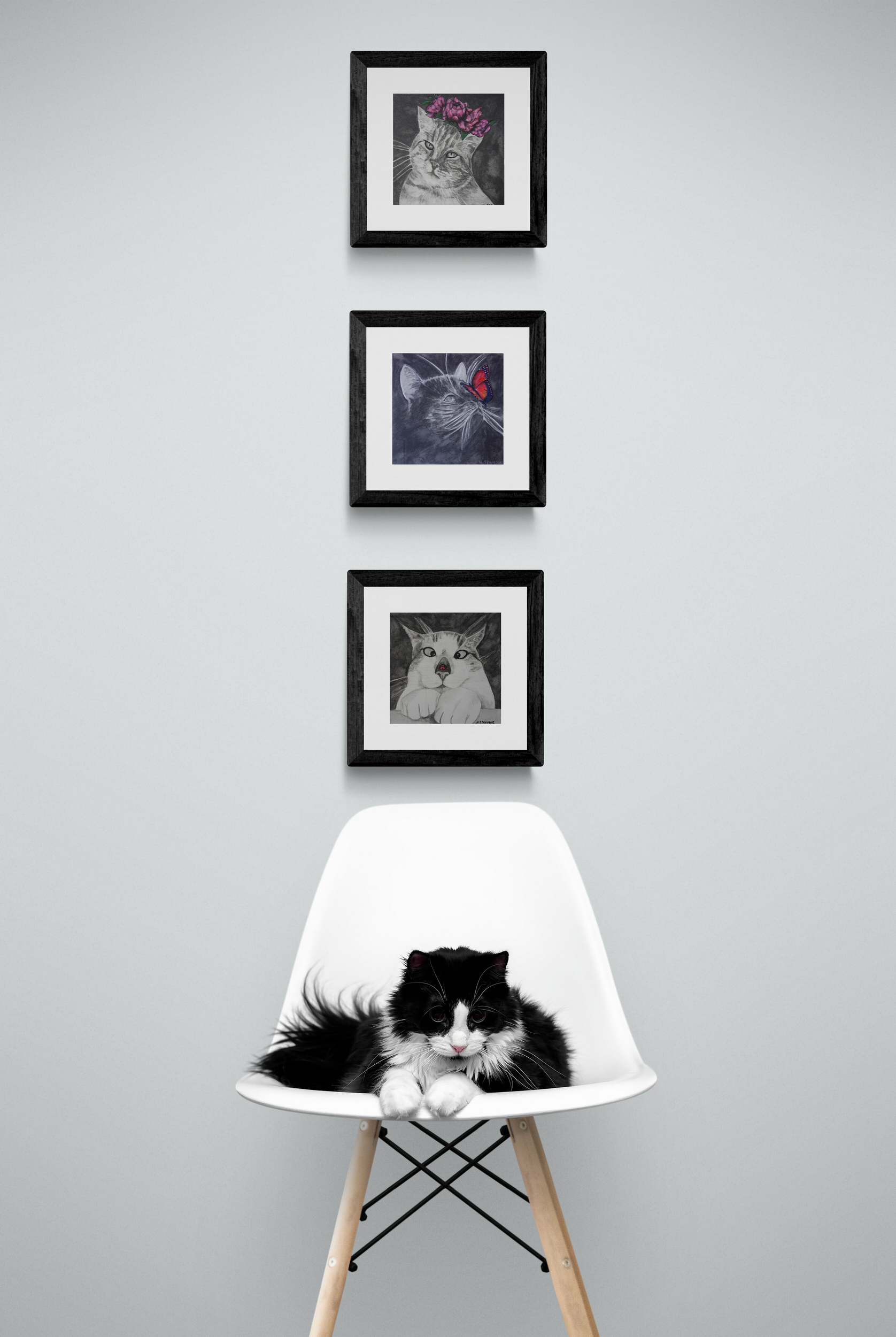 Curious_cat_sitting_on_white_chair (1)