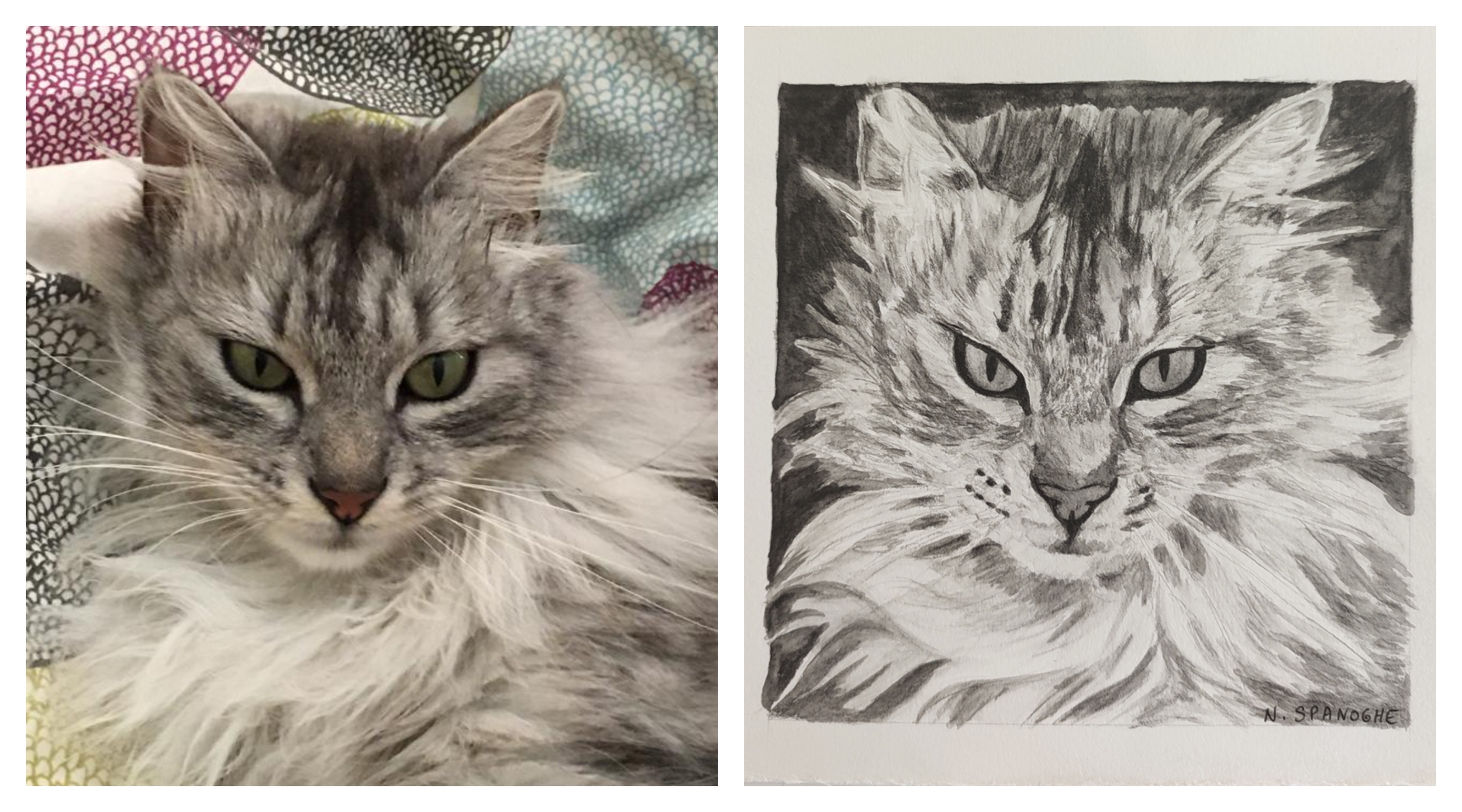 Peinture portrait de chat sur commande