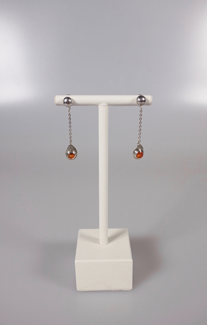 Puces d'oreilles Nautile Nacre Abalone 185ER322AB : Compagnie des