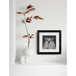 Leafy_plant_sitting_in_wall_alcove (12)