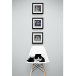 Curious_cat_sitting_on_white_chair (1)