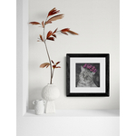 Leafy_plant_sitting_in_wall_alcove (13)