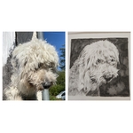 Collage portrait de chien en noir et blanc. Peinture et dessin, art.