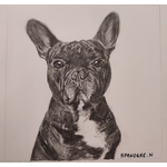 Portrait de chien en noir et blanc, sur mesure bouledogue français