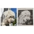 Collage portrait de chien en noir et blanc. Peinture et dessin, art.