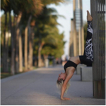 Passion yoga - Legging Arbre de vie - Noir - S au XL