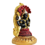 passion yoga shiva cadeau