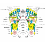 Tapis de Massage des Pieds - Thérapie physique - Réflexologie Plantaire
