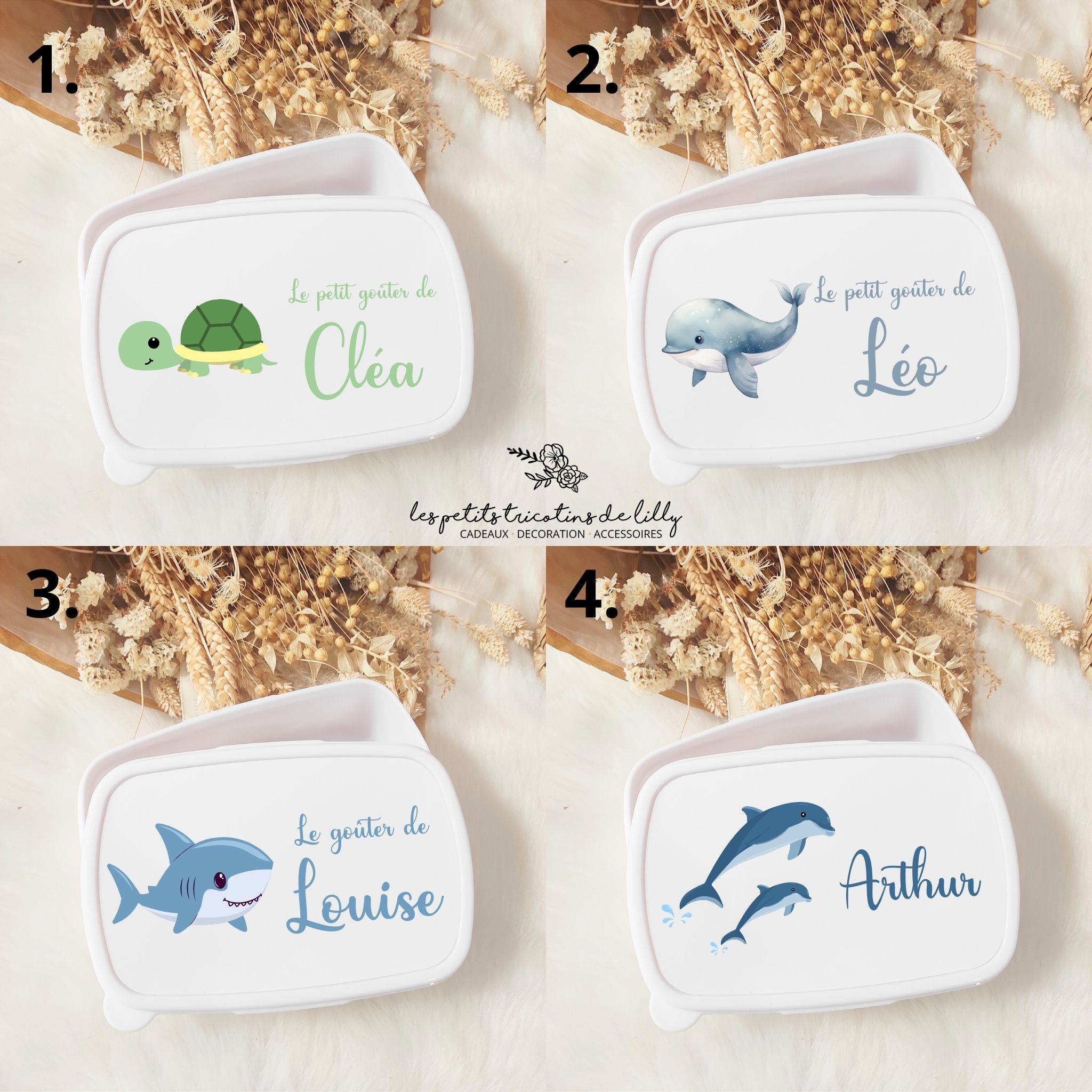 Tortue &amp; Marin
