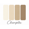 nuancier-fleurs-seches-les-petits-tricotins-de-lilly-champetre