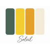 nuancier-fleurs-seches-les-petits-tricotins-de-lilly-soleil