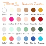 nuancier-les-petits-tricotins-de-lilly-creations-personnalisees