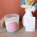 bougie-fleur-de-cerisier-cire-soja-artisanale-correze (1)