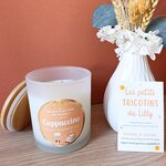 bougie-cappuccino-cire-soja-artisanale-correze (1)